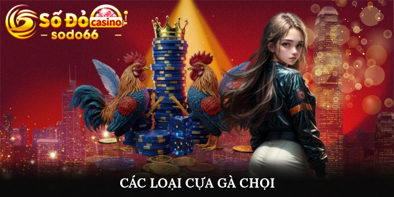 Các loại cựa gà chọi