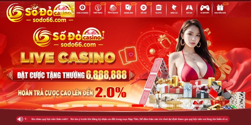 Giao diện khi đã truy cập thành công