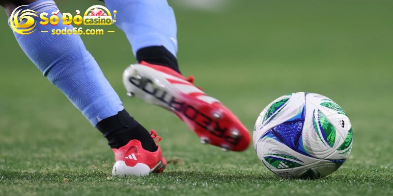 Loại hình chấp cách biệt 0.5 trái