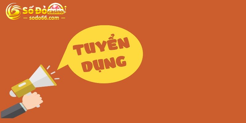 Tuyển dụng đa vị trí – Môi trường chuyên nghiệp